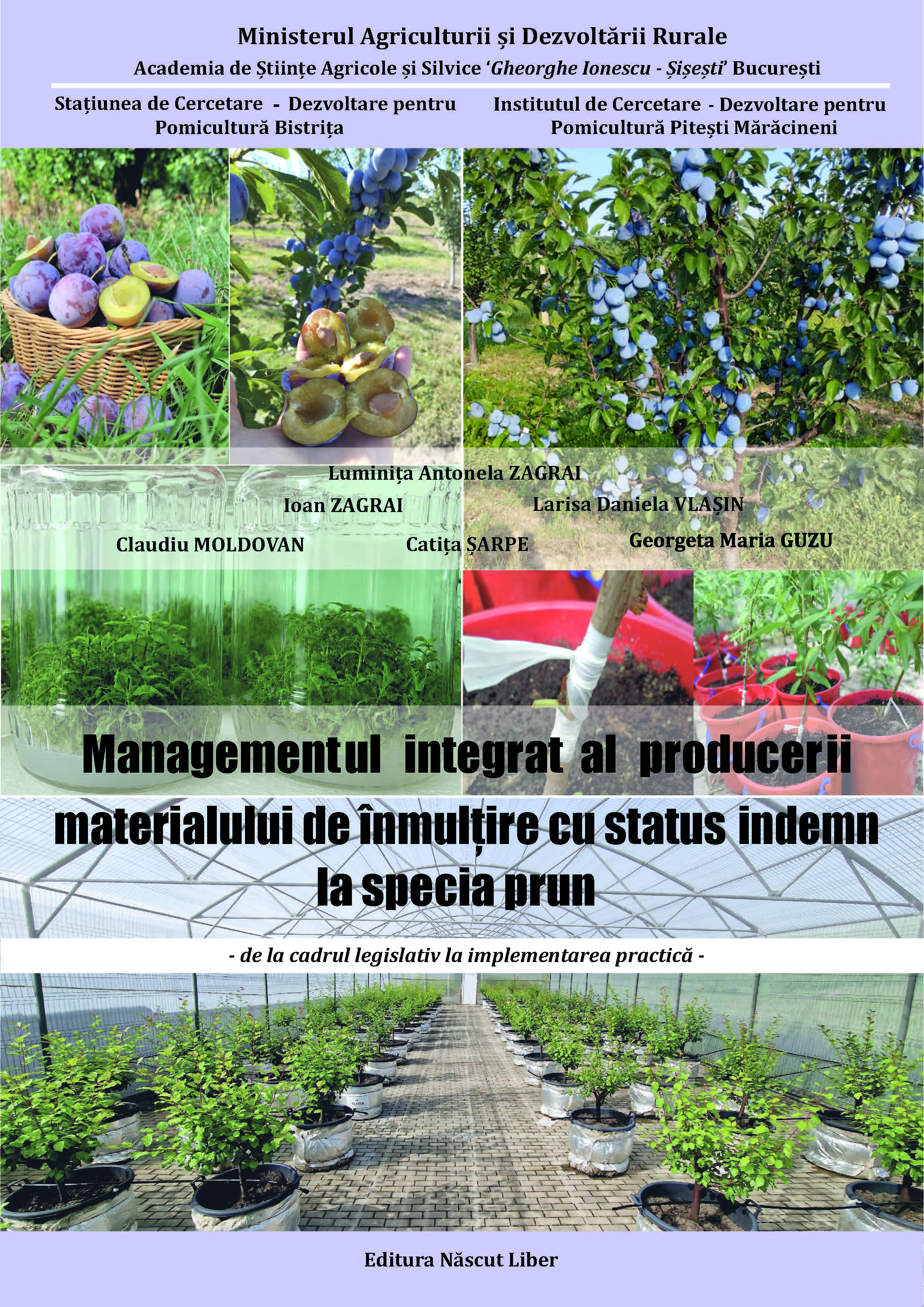 Managementul integrat al producerii materialului de înmulțire cu status indemn la specia prun