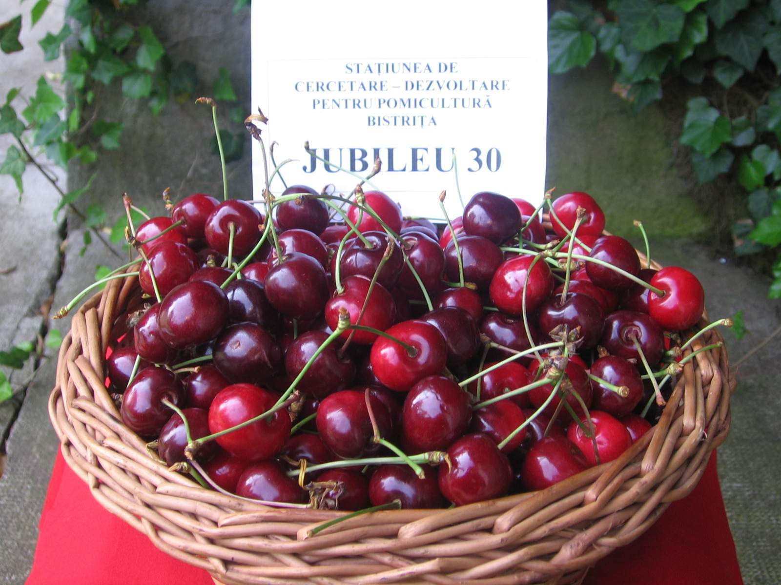 jubileu 30