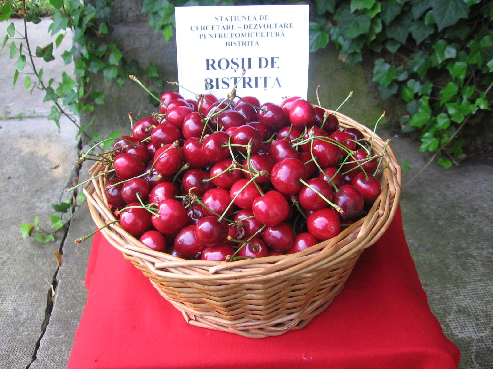 rosii-de-bistrita