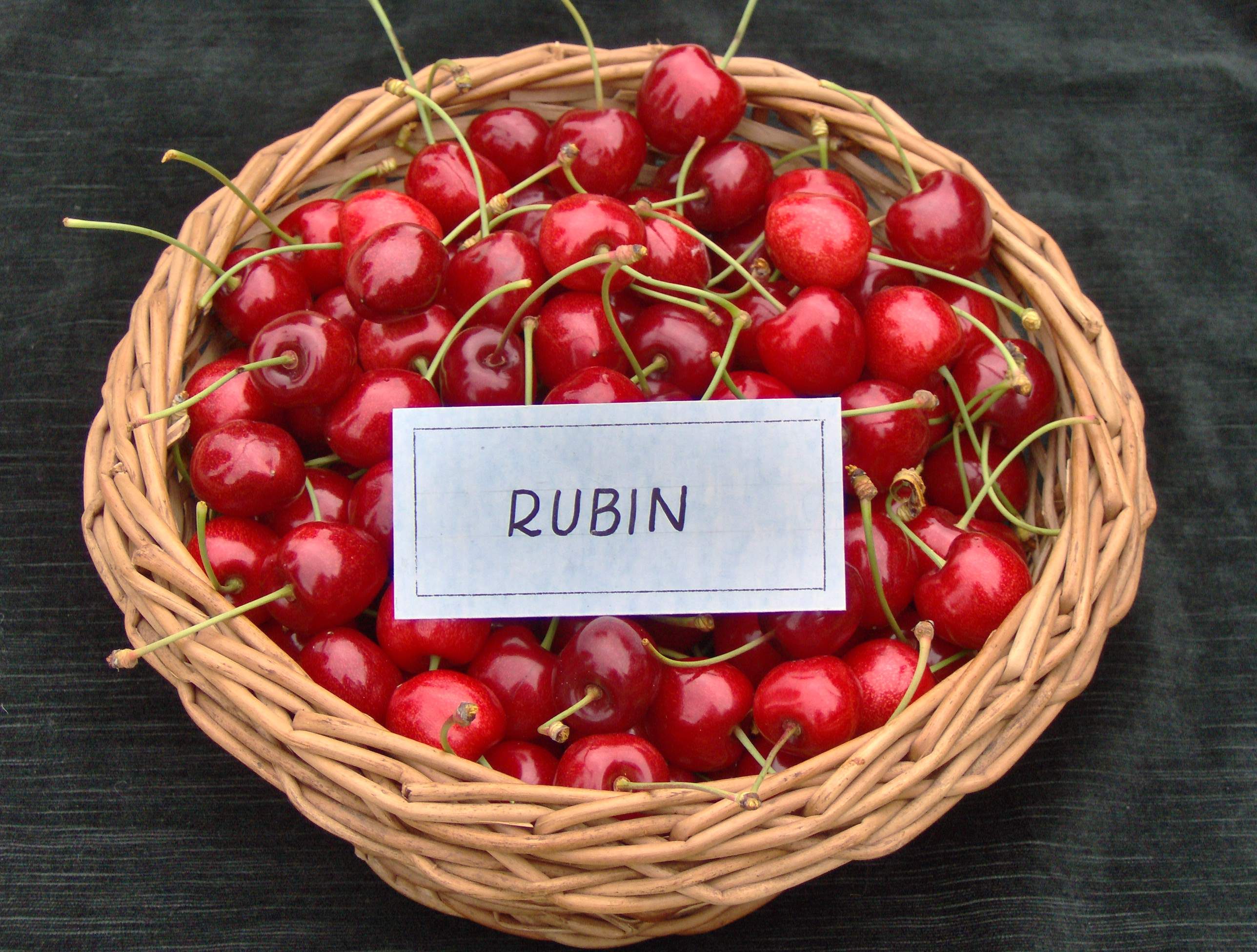 rubin
